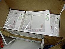 Im Karton: Peter Stamm: Agnes - Sonderausgabe zum Welttag des Buches 2012