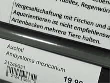 Vergesellschaftung