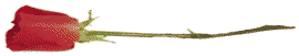 @->->--