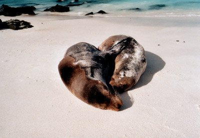 © 2003 by Katharina Pallas.