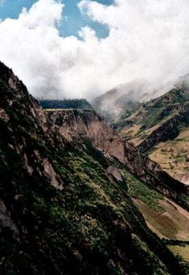 © 2003 by Katharina Pallas.