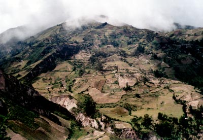 © 2003 by Katharina Pallas.