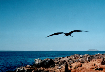 © 2003 by Katharina Pallas.