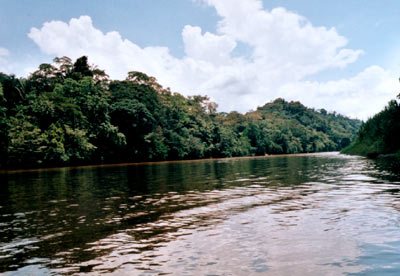 © 2003 by Katharina Pallas.