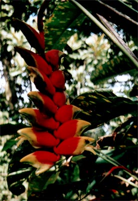 © 2003 by Katharina Pallas.