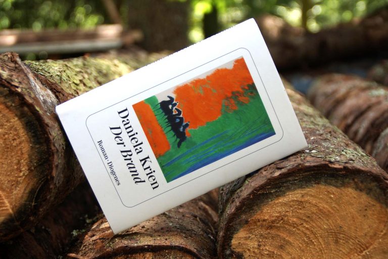 Innerliches Feuer und erloschene Liebe: »Der Brand« von Daniela Krien