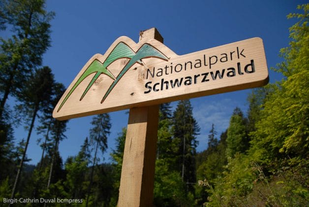 Nationalpark Schwarzwald