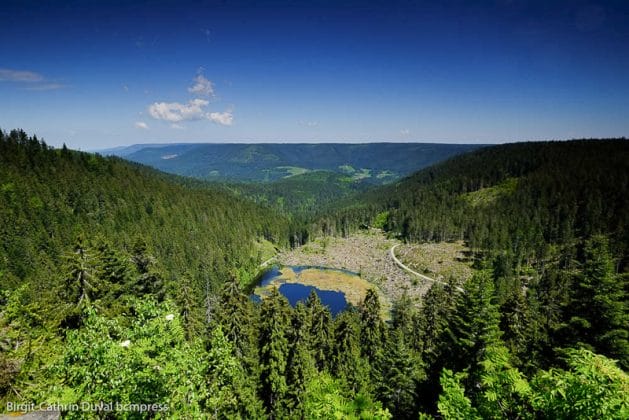 Blick auf den Huzenbacher See