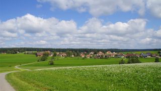 Schreib-Retreat im Schwarzwald (5 Tage)