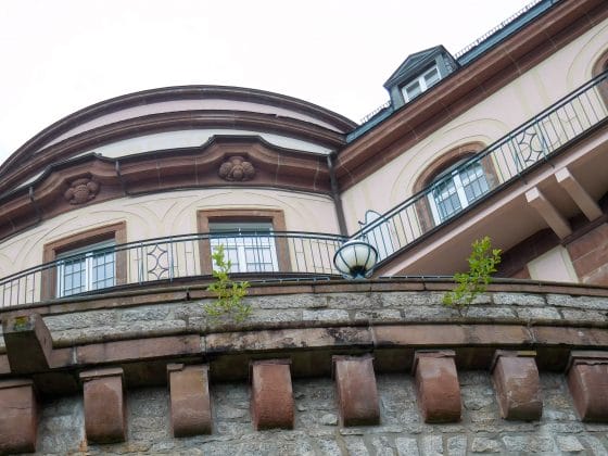 Pflanzen grüßen