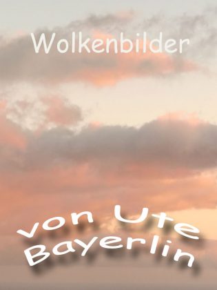 Schlechtes Cover - Beispiel 2
