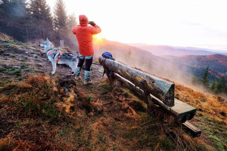 Reiseliteratur und Nachhaltigkeit: Was für ein scheißgeiles Leben