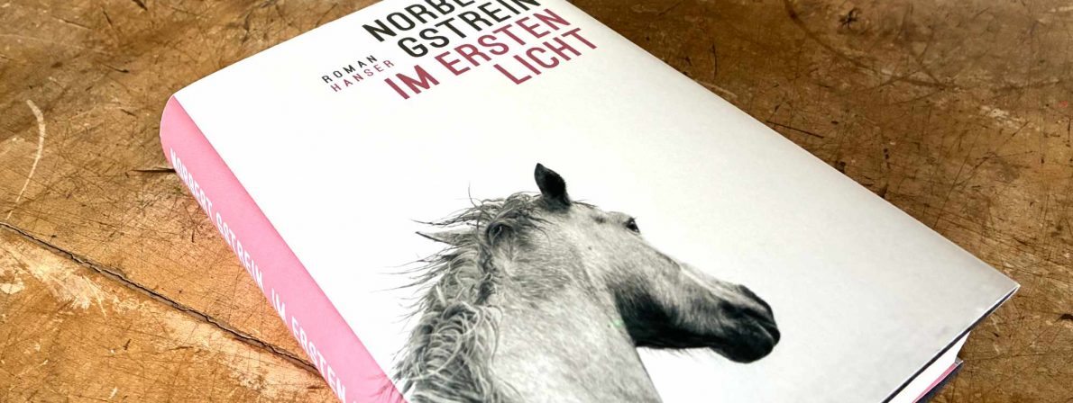 Roman »Im ersten Licht« von Norbert Gstrein, erschienen im Hanser Verlag