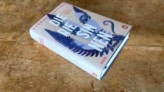 Ein Leben aushalten: »Die Riesinnen« von Hannah Häffner