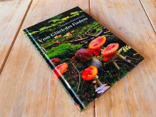 Poet der Pilze: Markus Manfred Jung »Vom Glück des Findens«