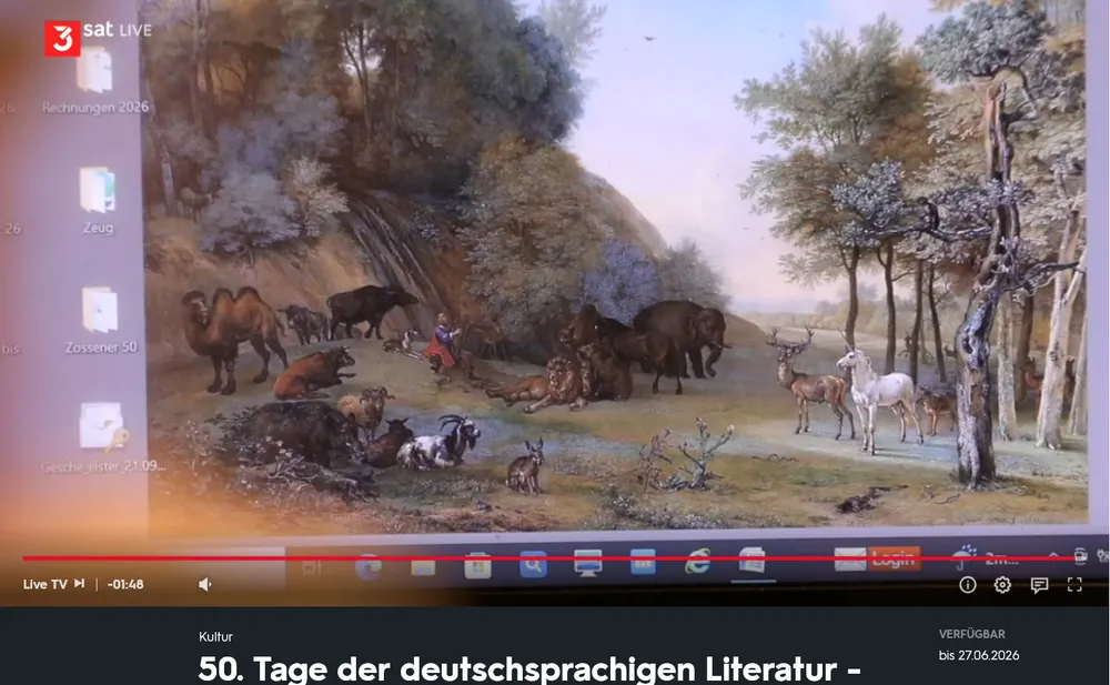 Screenshot aus dem Vorstellungsvideo von Gesche Heumann. Man sieht ihren PC-Desktop.