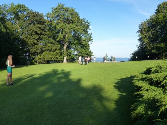 Schönes Grün
