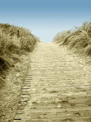 28 weitere legendäre Reiseberichte aus den Jahren 1996 bis 2008