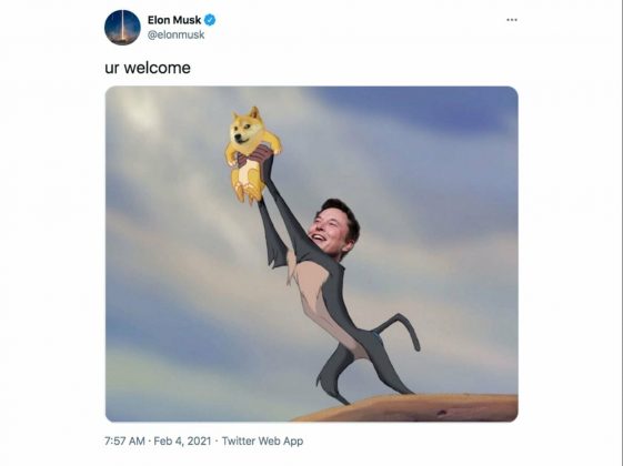 Dieses Meme auf Basis des Königs der Löwen spielt auf Elon Musk und den Dogecoin an und wurde von Musk selbst getweetet