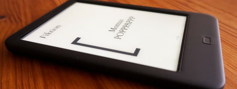 Popppappp von Momus: Dem Schwein der Geschichte Lippenstift verpassen