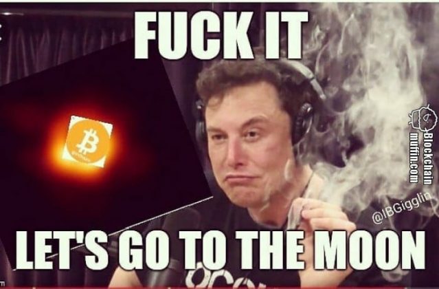 Elon Musk und der Mond