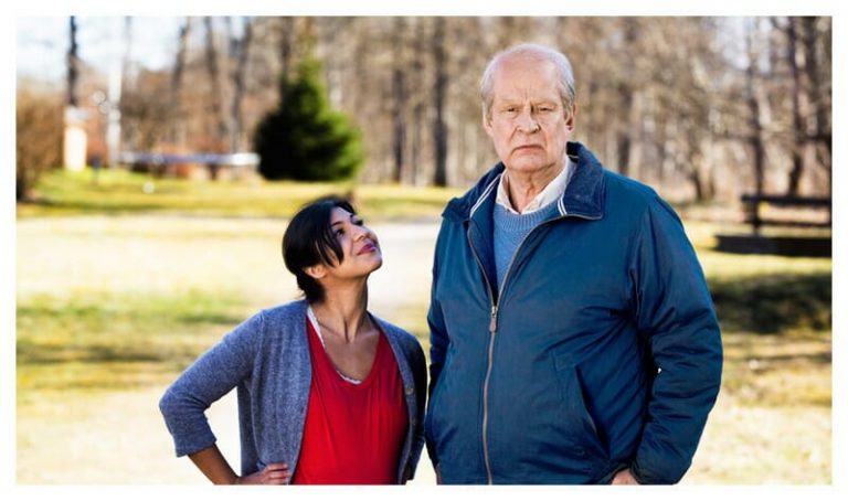 Buch und DVD: Ein Mann Namens Ove sehen und lesen