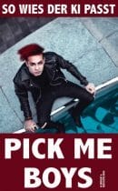 So wie Passmann für Männer: »Pick me Boys« als KI-Experiment