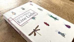 Verstörend und schön: »Eine Liebe« von Sara Mesa