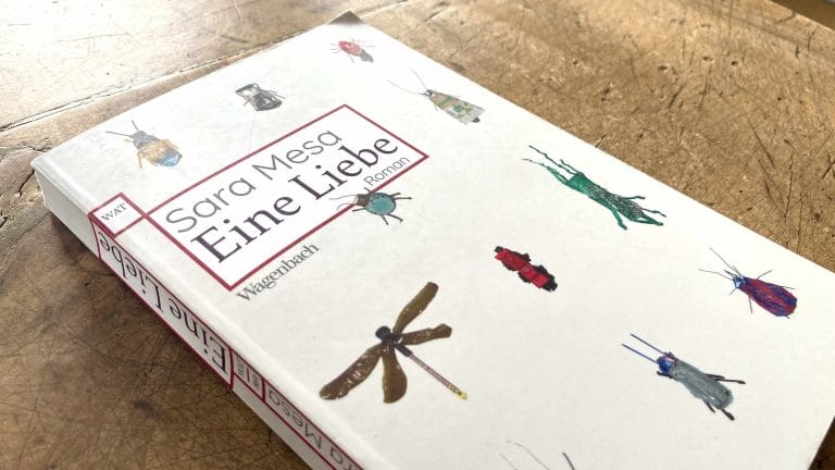 Verstörend und schön: »Eine Liebe« von Sara Mesa