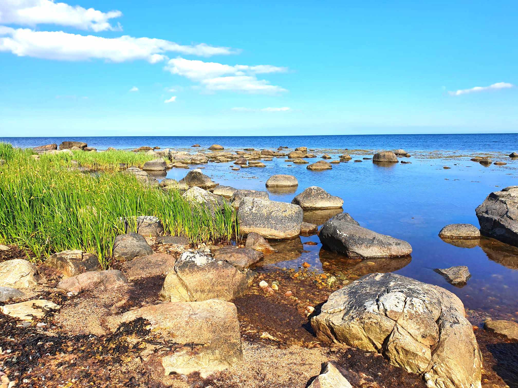Die Schären: Steine am Meer (Foto: Martina Takacs)