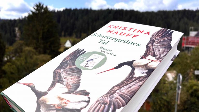 Vorgefertigt fürs TV: »Schattengrünes Tal« von Kristina Hauff