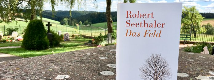 Bank, Birke und Buch: Robert Seethaler: Das Feld