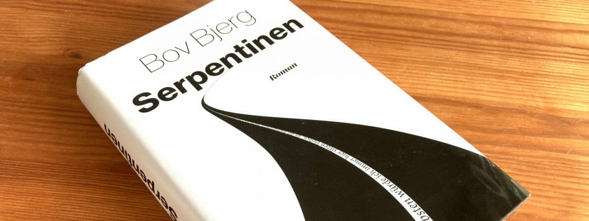 Der Roman »Serpentinen« von Bov Bjerg