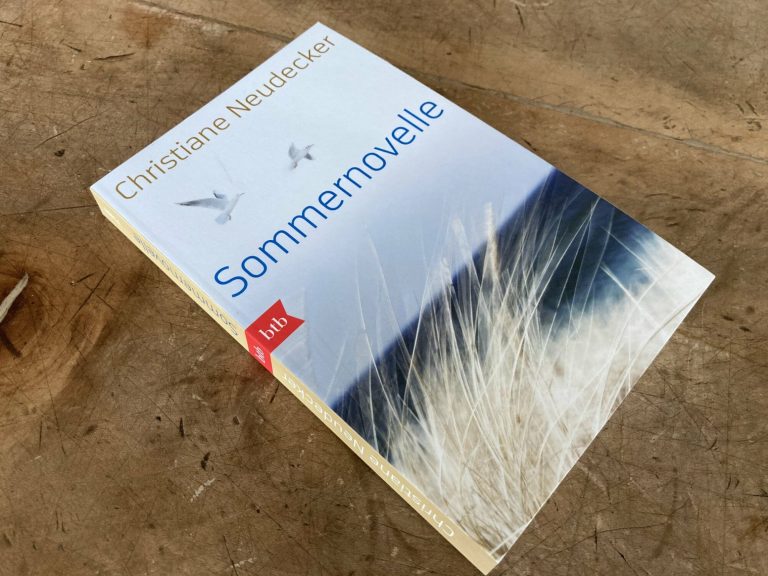 Mit unverbrauchten Verben landen: »Sommernovelle« von Christiane Neudecker