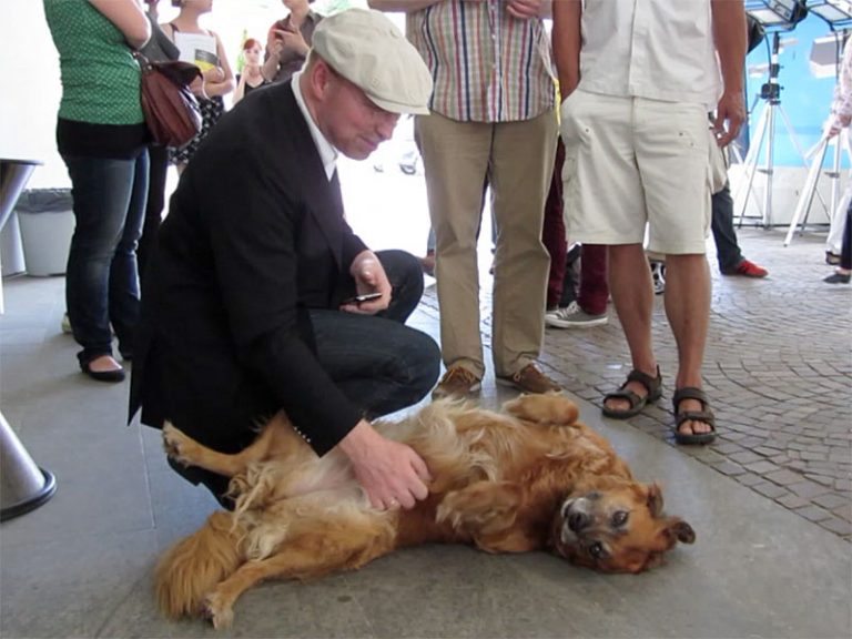 Bachmann und Brockmann VII: Menschen, Themen, Situationen