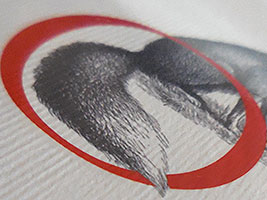 Preis der Leipziger Buchmesse 2014: Kurzer Blick auf die Shortlist