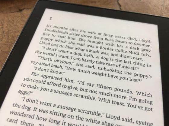 Laurie von Stephen King als E-Book