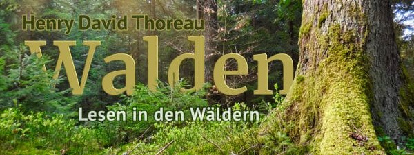 Henry David Thoreau: Walden – Lesen in den Wäldern