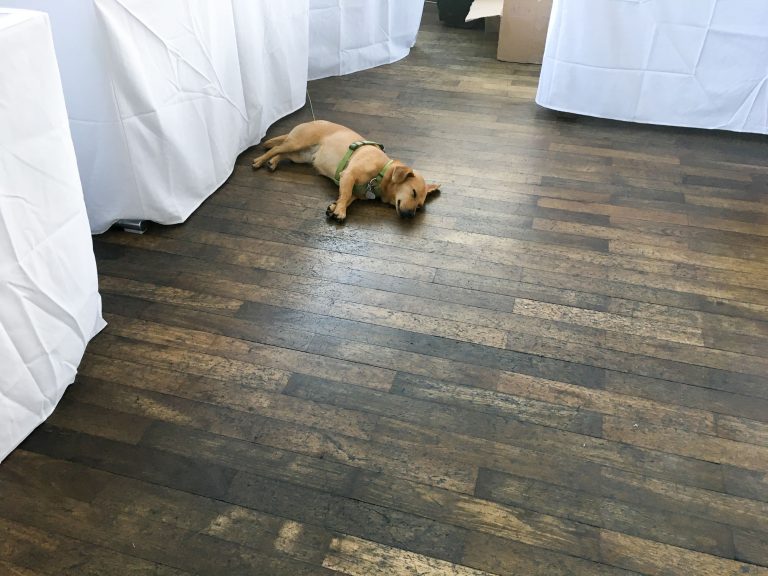 Das zweite Stuttgarter Wetterleuchten der unabhängigen Verlage