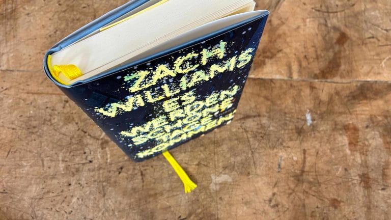 Schöne Tage, schöne Zweifel: Über Zach Williams’ Debüt »Es werden schöne Tage kommen«