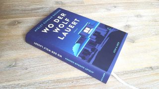 Kein klassischer Psychothriller: »Wo der Wolf lauert« von Ayelet Gundar-Goshen