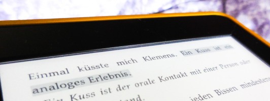 Ein Travnicek-Text auf dem E-Reader